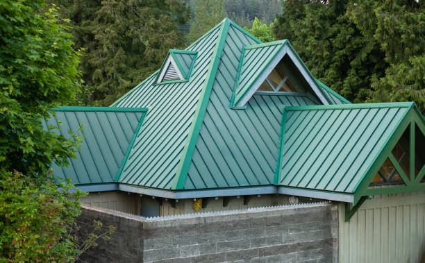 Best Sheet Metal Roofing  in Nederland, CO