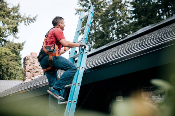 Best Flat Roofing  in Nederland, CO